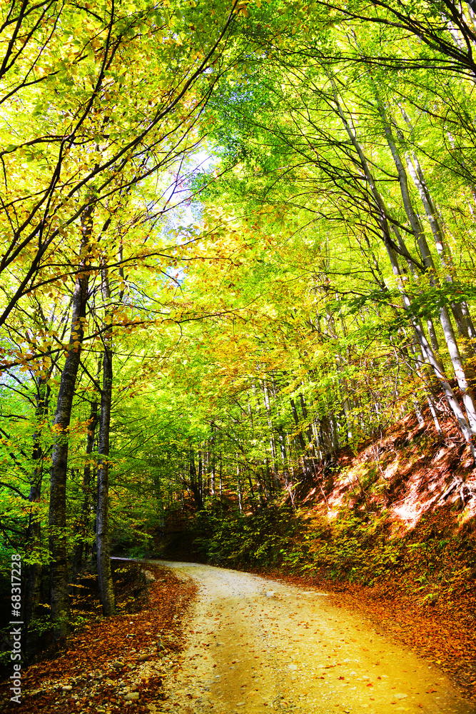 Fototapeta premium Mountain road in autumn colours