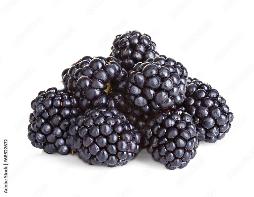 Blackberries isolated on white background. Blackberries isolated on white background.