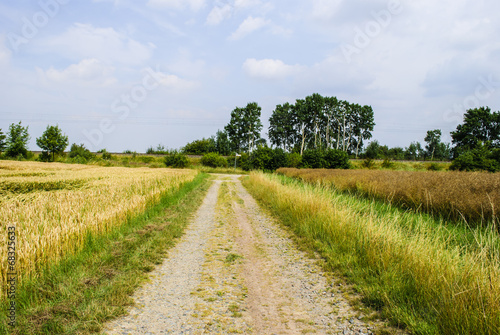 Canvas Print Farm track through fields