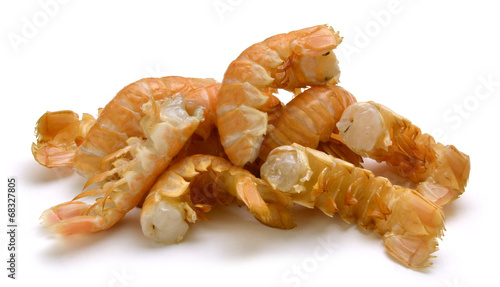 Sjøkreps Norway lobster Homarzec Scampi Kaisergranat