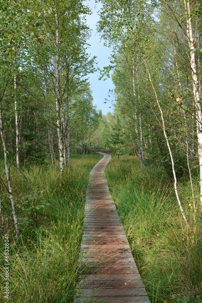 Fototapeta premium Wooden walk at Soumarske raseliniste