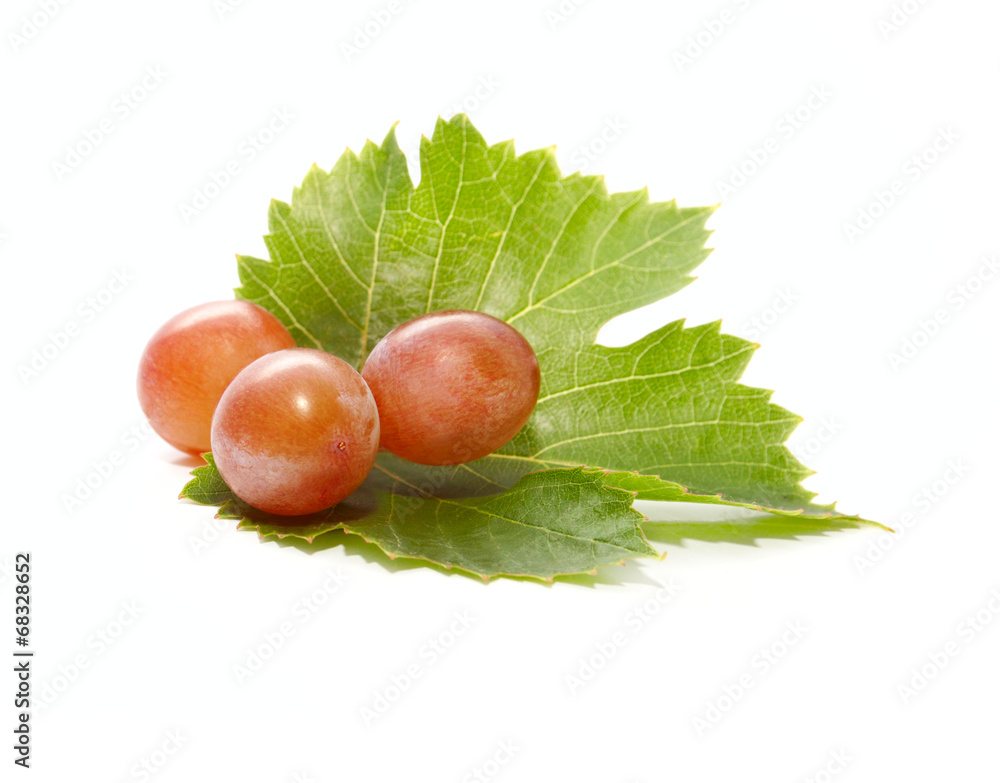 Three Fresh Grapes Berries on the Green Leaf