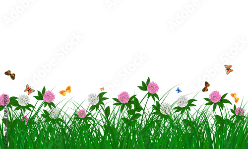 summer meadow