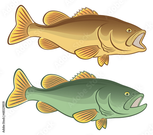 fish bass