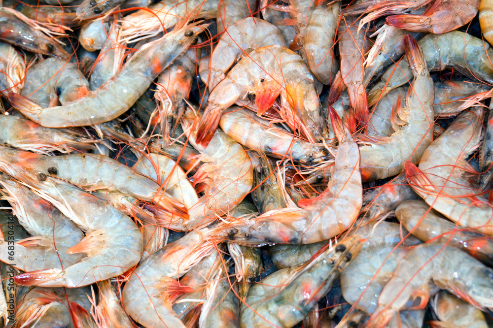 fresh shrimps from the Aeagean sea for cooking