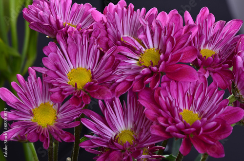 Floral arrangement