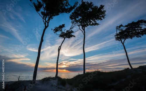 Sunset at the beach of Darß at the Baltic Sea, Mecklenburg-West