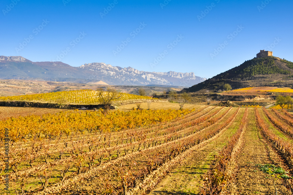 Vineyards in autumn and Davalillo castle, La Rioja (Spain)
