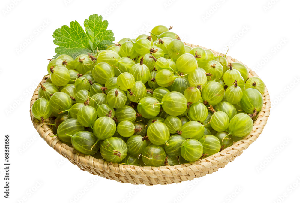 Gooseberry Gooseberry