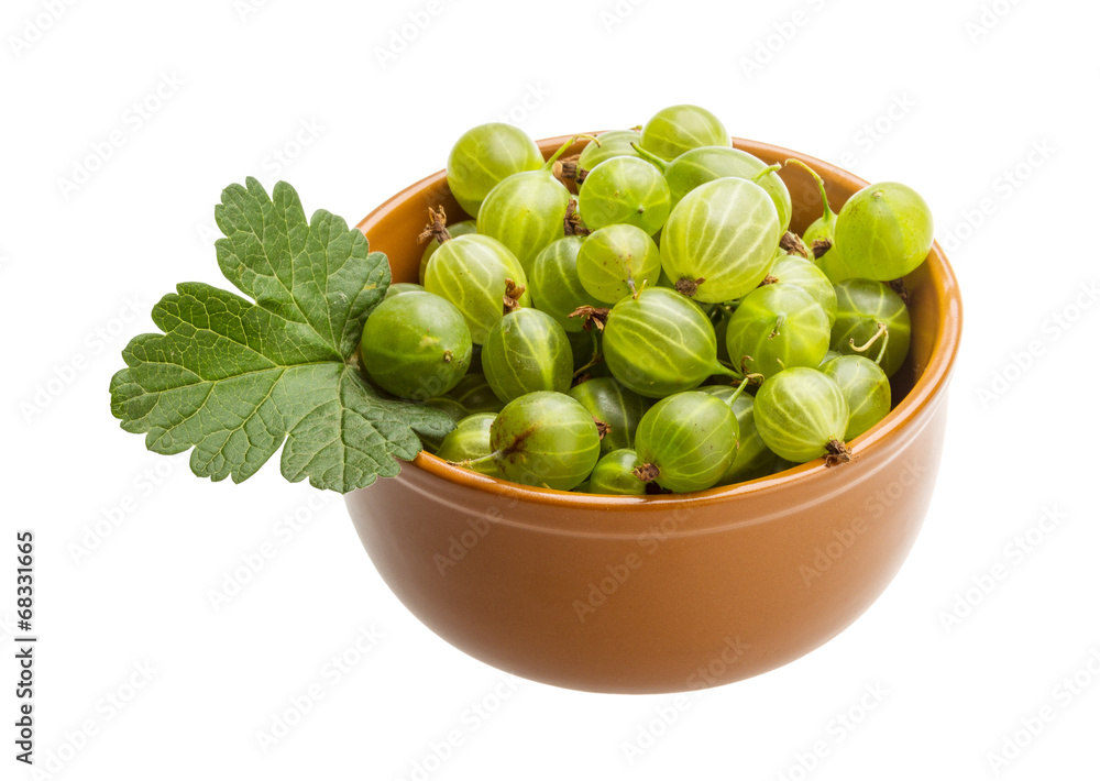 Gooseberry Gooseberry