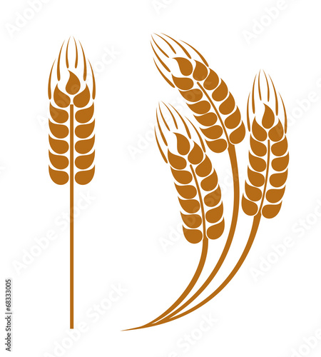 Wheat ears icon