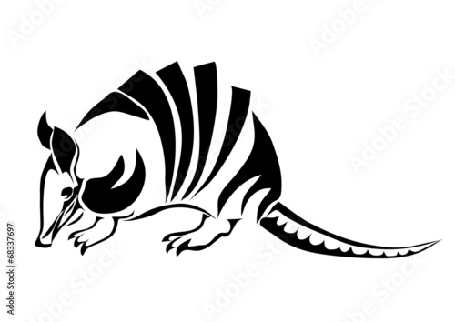 armadillo