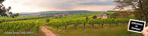 Willkommen im Rheingau! Panorama mit Schloss Vollrads