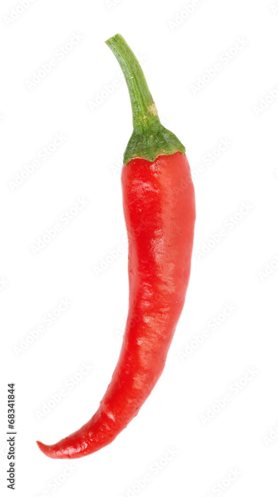 Hot red chili or chilli pepper isolated on white Hot red chili or chilli pepper isolated on white