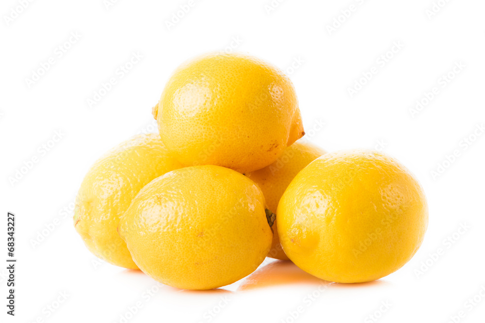 citrus citrus