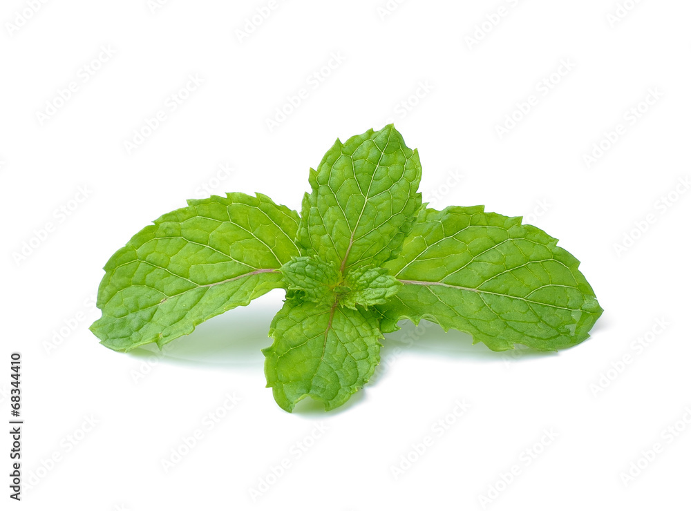 mint leaves isolated on white background mint leaves isolated on white background