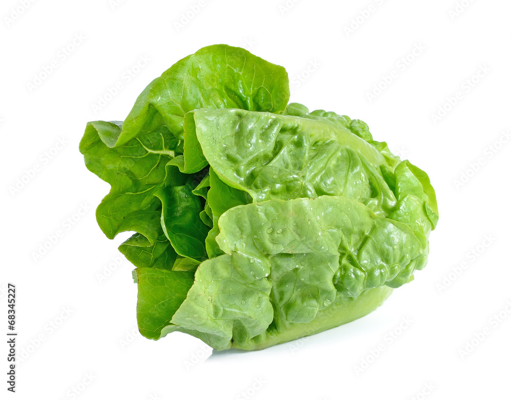 lettuce leaves isolated on white background lettuce leaves isolated on white background