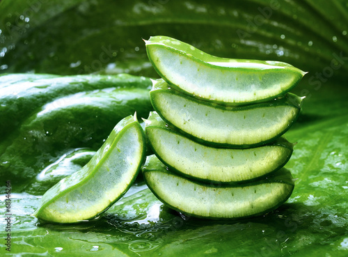 Detail leafs aloe vera with drop of water