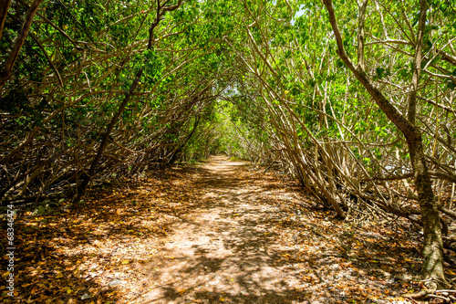 Leinster Bay Trail