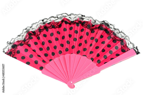Traditional spanish flamenco hand fan