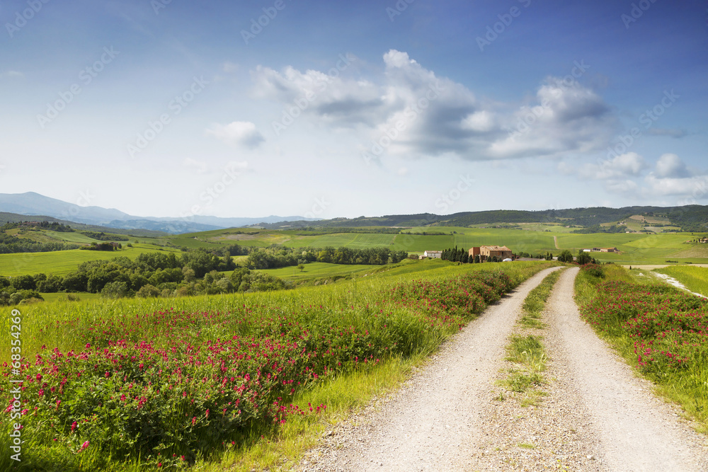 The Tuscany landscape with a road. Italy