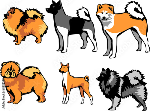 spitz type dog breeds