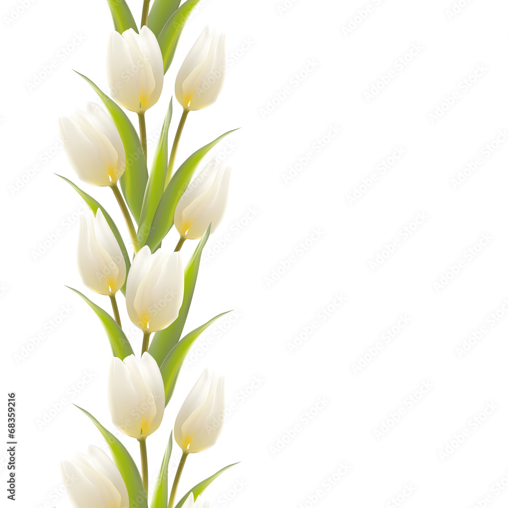 Naklejka premium Tulip spring flowers bouquet for your card