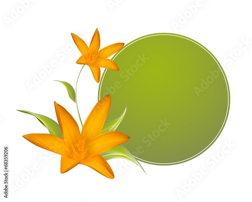 Canvas-taulu Crocus spring flowers for your card design.