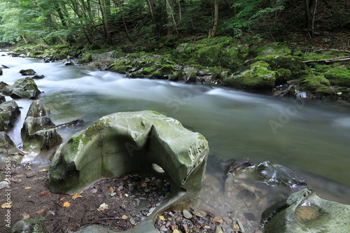 Die Schwarza im Thüringer Wald photo