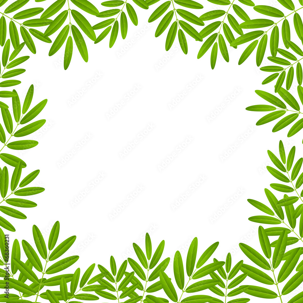Green leaves frame for Your design Green leaves frame for Your design