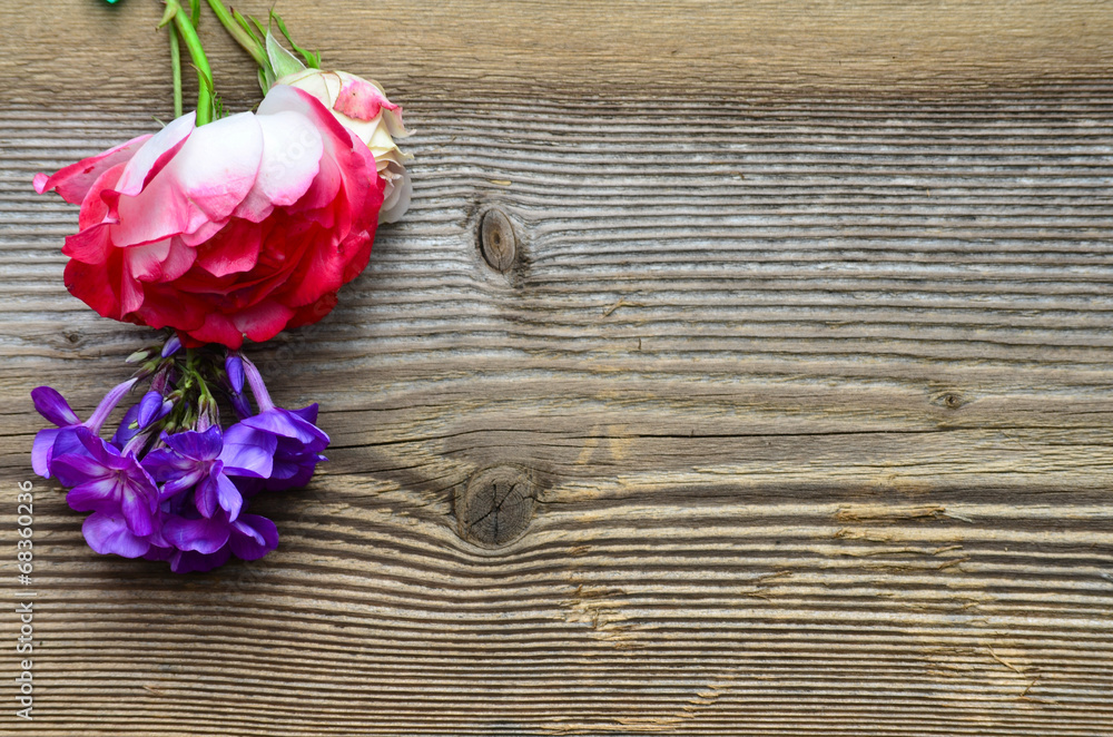 Holz Hintergrund Rose Holz Hintergrund Rose