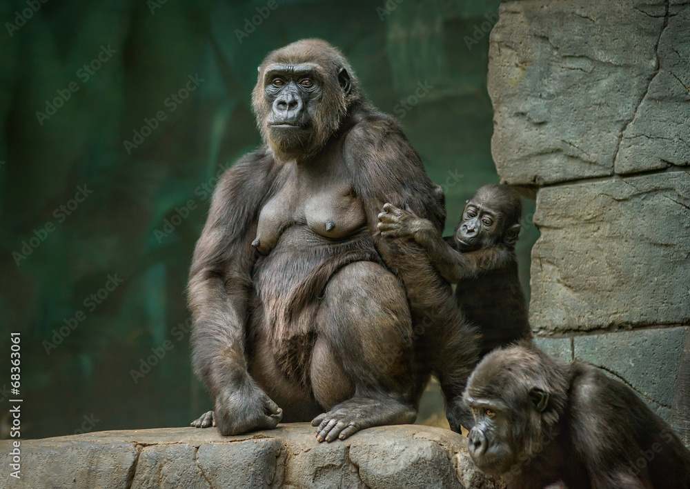 Obraz premium Family