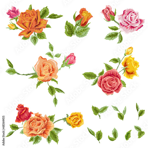 Watercolor Roses Set - floral background - in vector