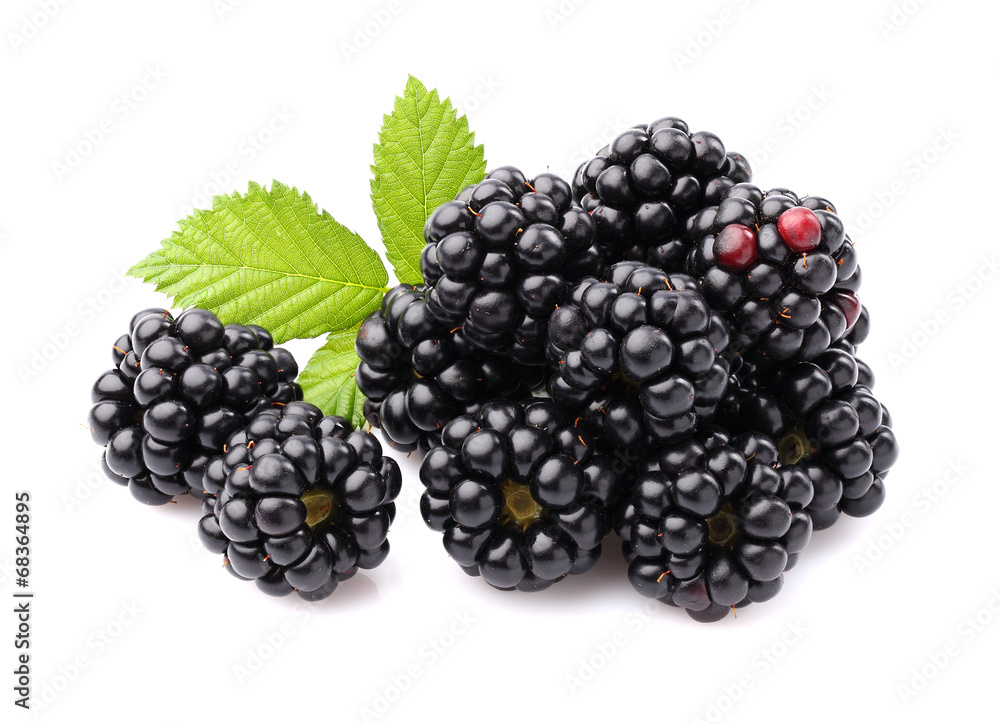 Blackberry with leaves Blackberry with leaves
