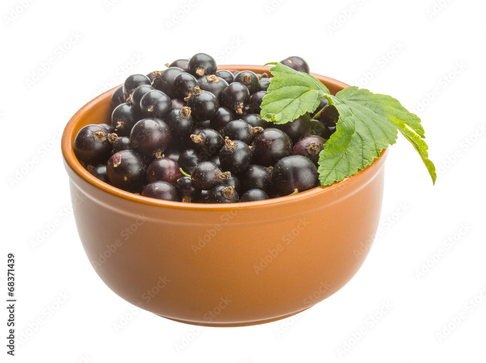 Black currant Black currant
