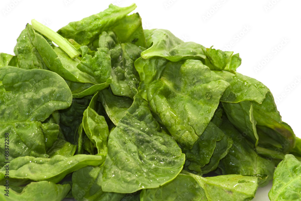Fresh green leaves spinach on a white background Fresh green leaves spinach on a white background
