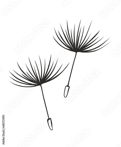 pusteblume0408a