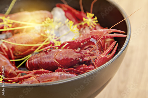 Wallpaper Mural Crayfish Torontodigital.ca