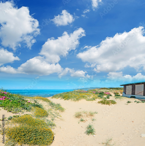 wooden house under clouds