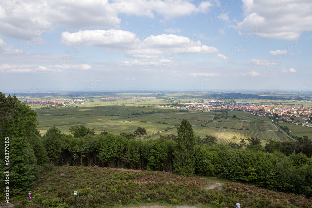 Obraz premium Pfälzerwald408