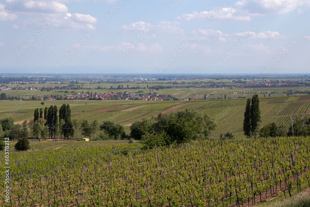 Obraz premium Villa Ludwigshöhe 417