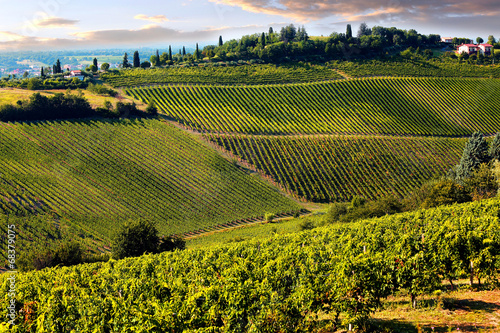 Hills of Tuscany With Vineyard In The Chianti Region photo