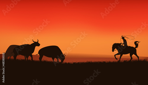 wild west prairie landscape - cowboy chasing the herd of bulls