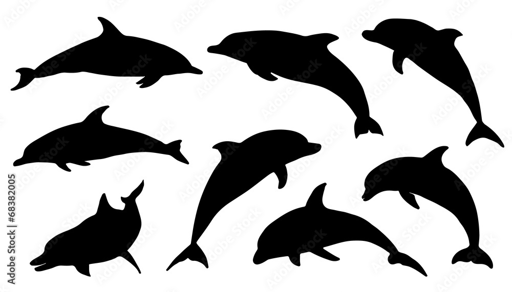 Naklejka premium sylwetki delfinów