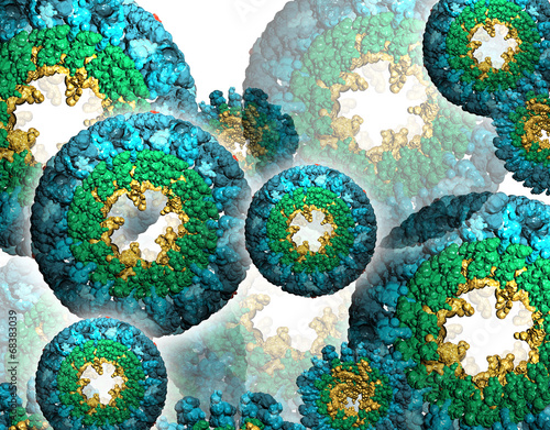 Canvastavla Protein molecules
