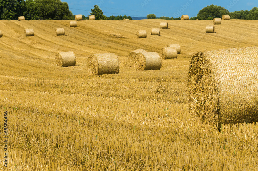 Big round bales of straw in the meadow