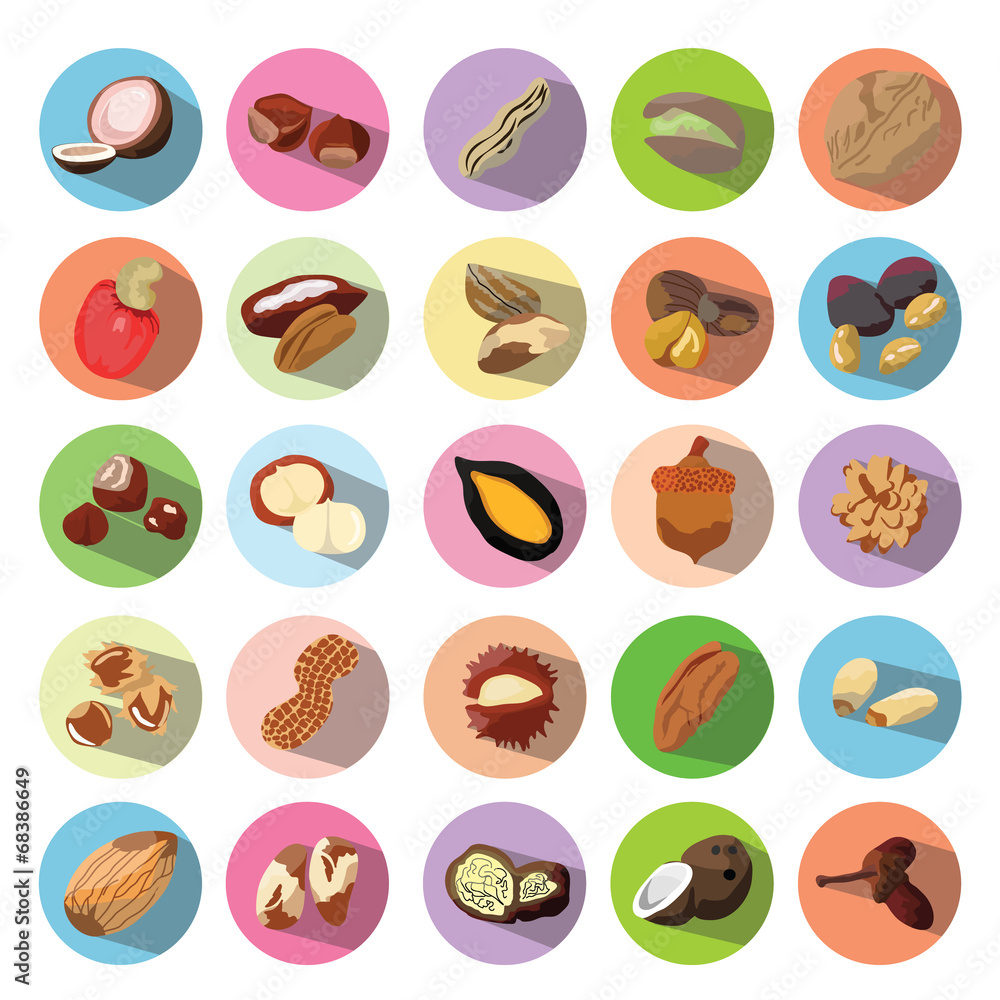 Vector Icons of Beans, Nuts, Seeds. Illustration eps10