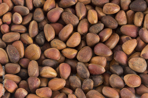 Pine nuts in shells as a background