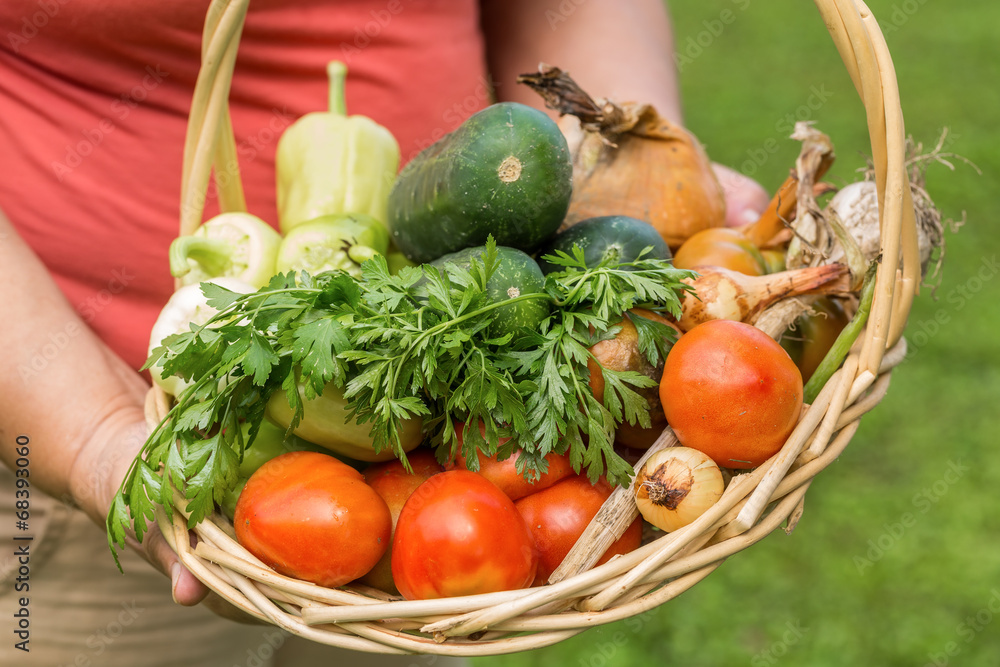 Senior woman holding a basket with genuine organic vegetable Senior woman holding a basket with genuine organic vegetable