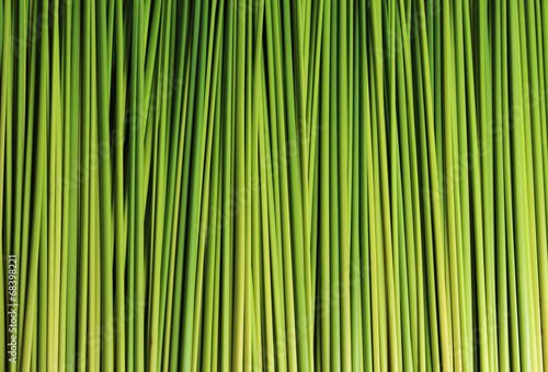 Naklejka green leaf